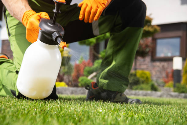 Pest Prevention Services in Garland, UT